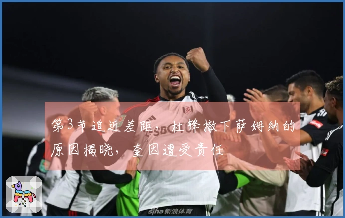 第3节追近差距，杜锋撤下萨姆纳的原因揭晓，奎因遭受责任